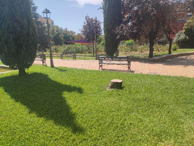 Photo 4